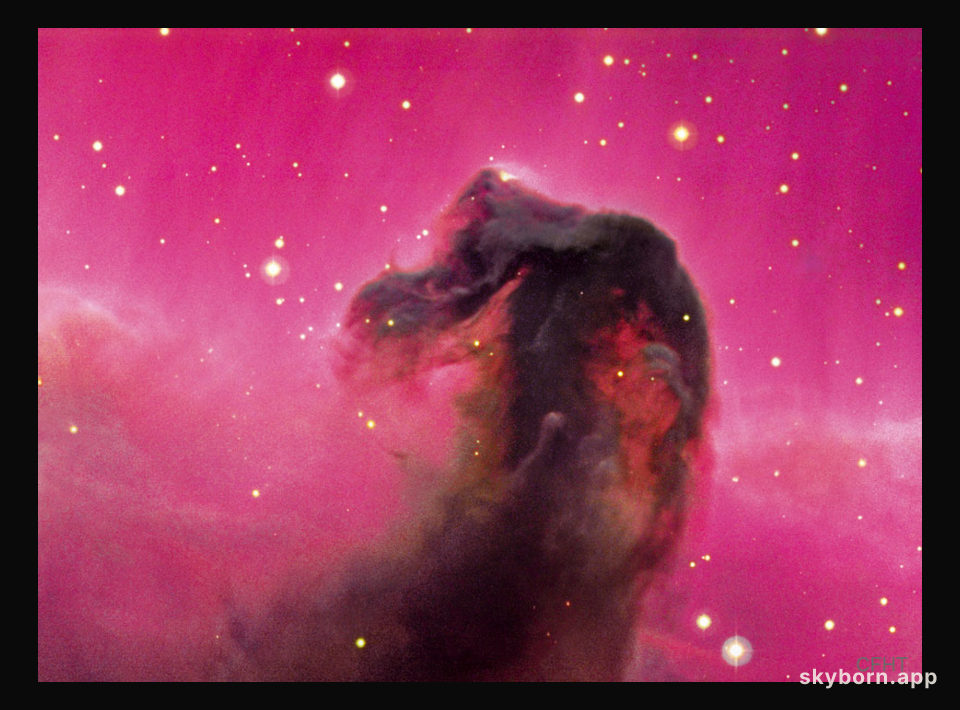 The Horsehead Nebula