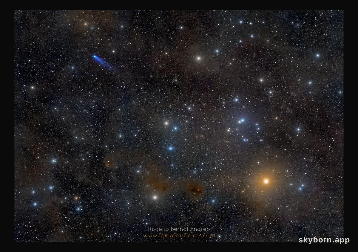 Blue Comet in the Hyades