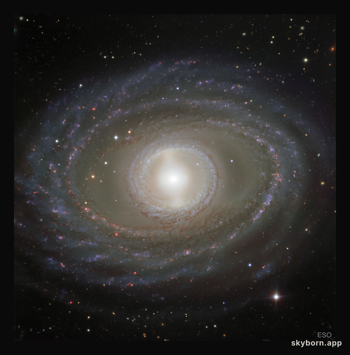 Ribbons and Pearls of Spiral Galaxy NGC 1398