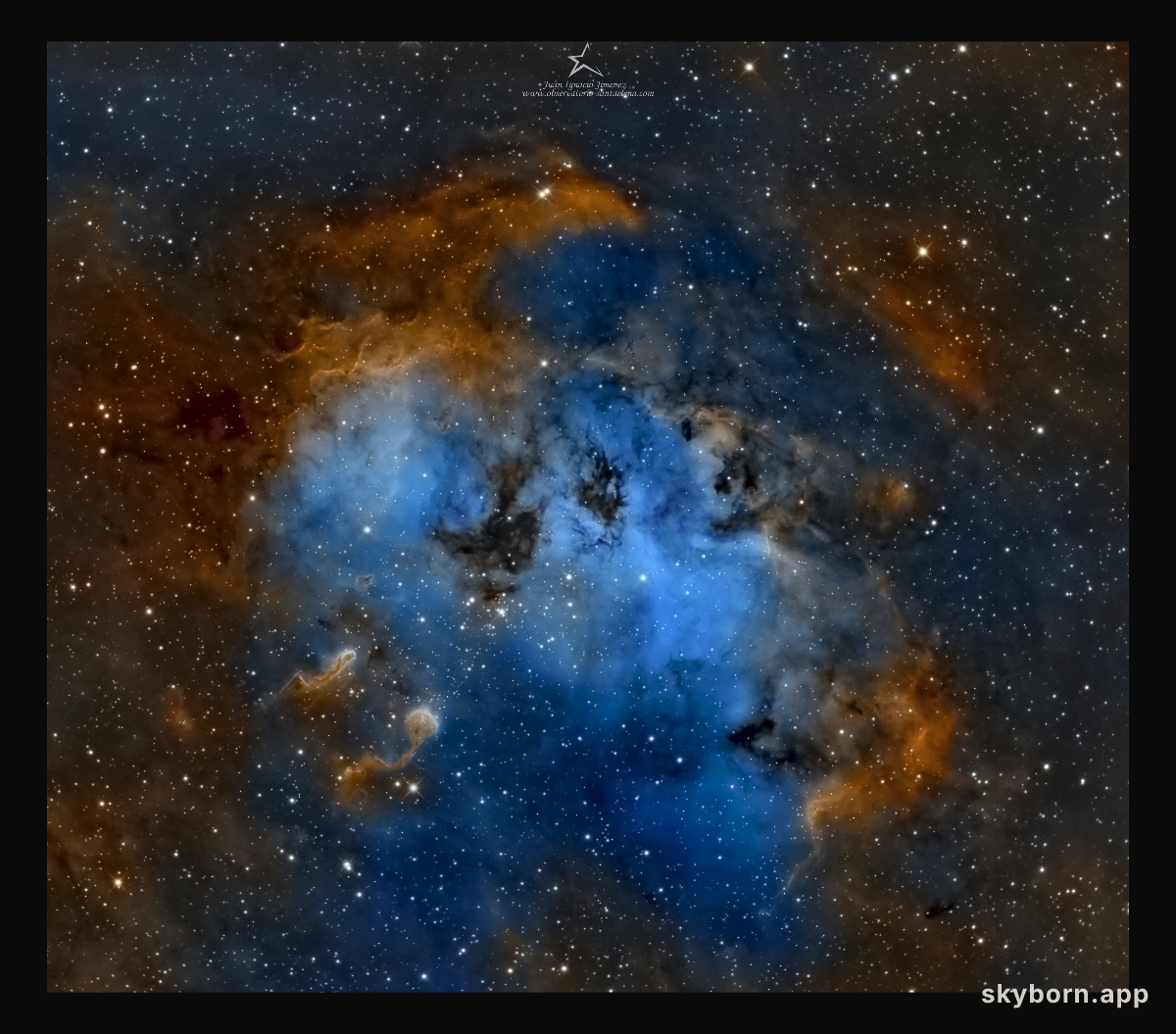 The Tadpoles of IC 410
