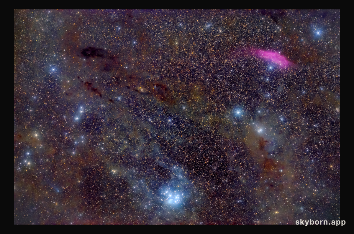 Comet PanSTARRS is near the Edge