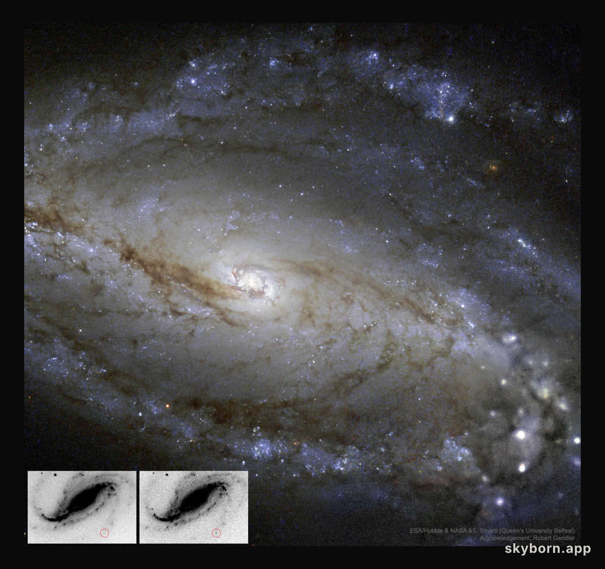 NGC 613 in Dust, Stars, and a Supernova