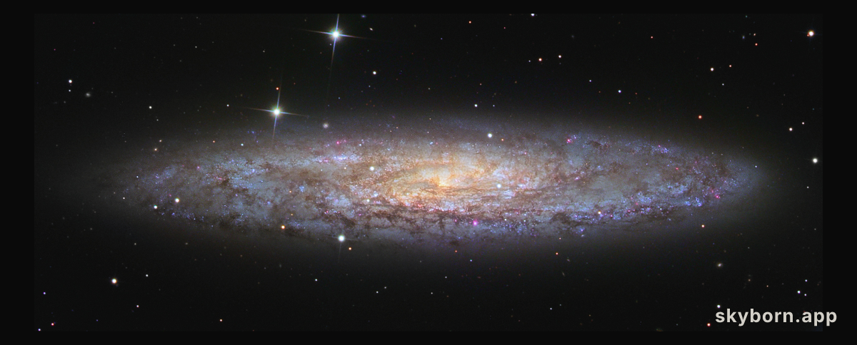 NGC 253: Dusty Island Universe