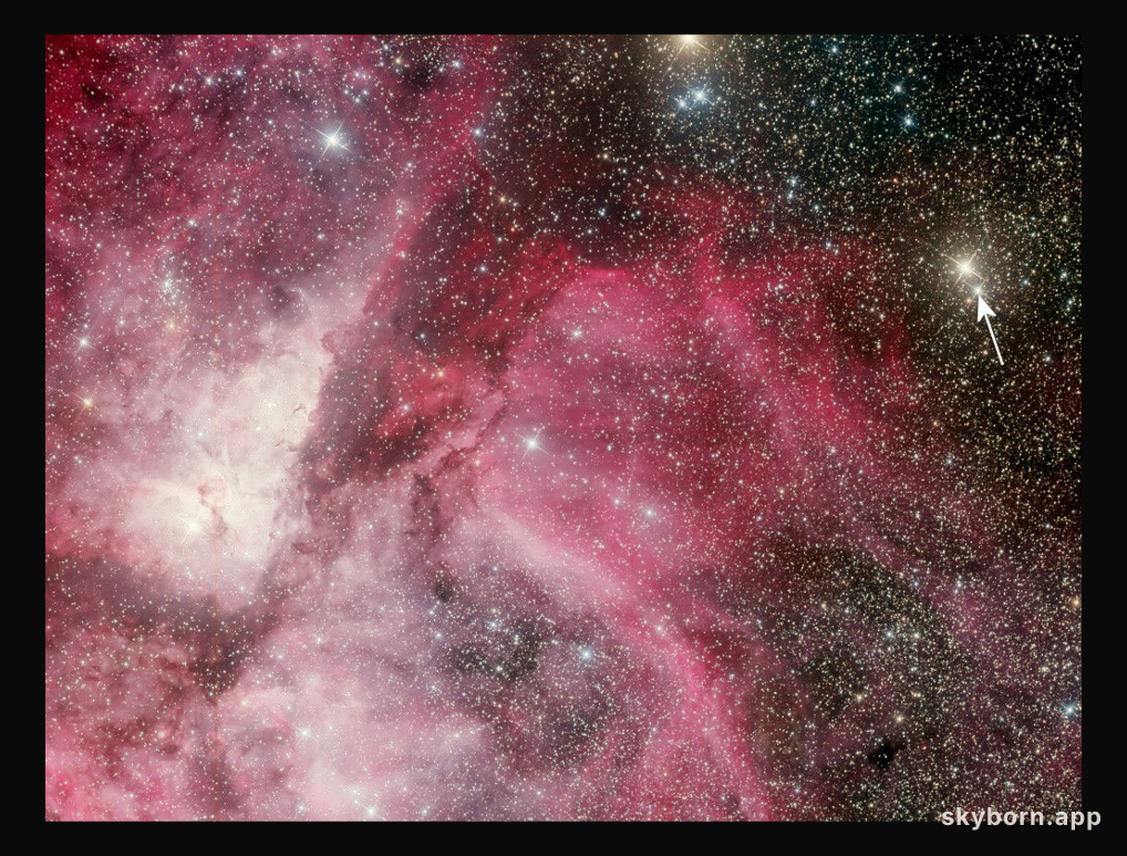 Announcing Nova Carinae 2018