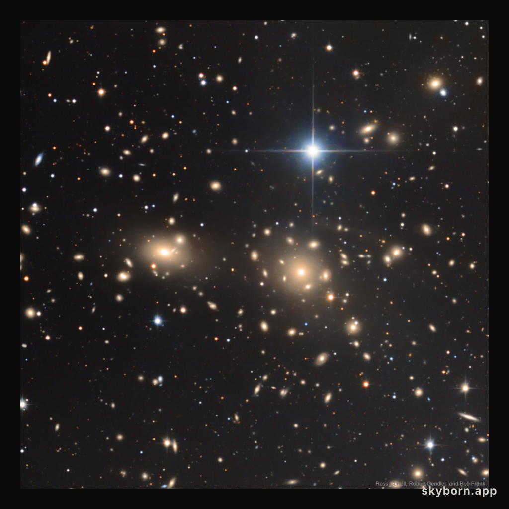 The Coma Cluster of Galaxies