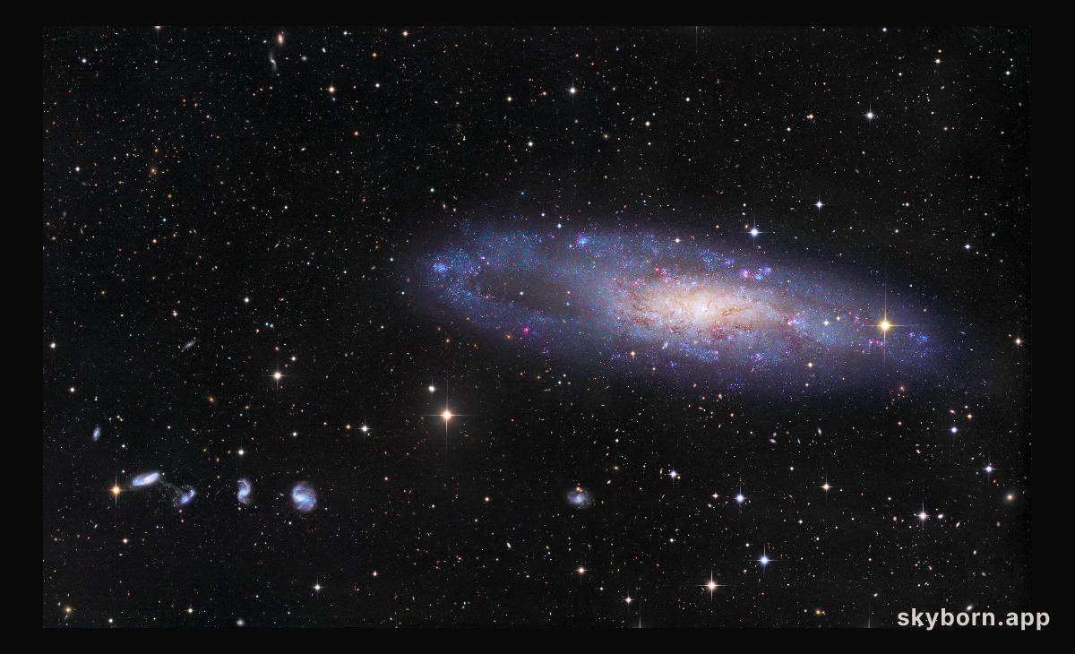 NGC 247 and Friends