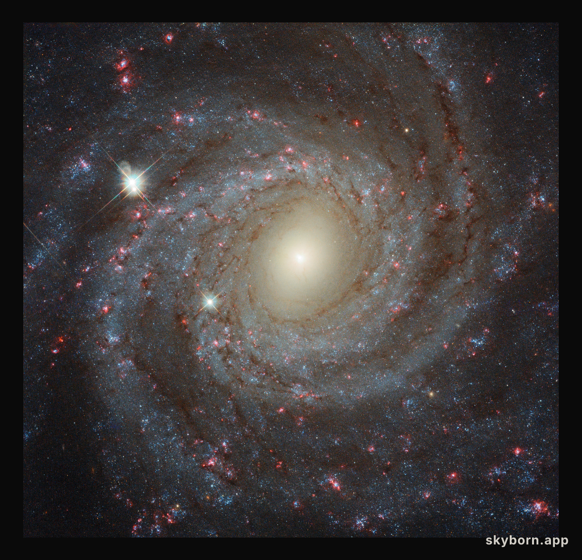 Facing NGC 3344
