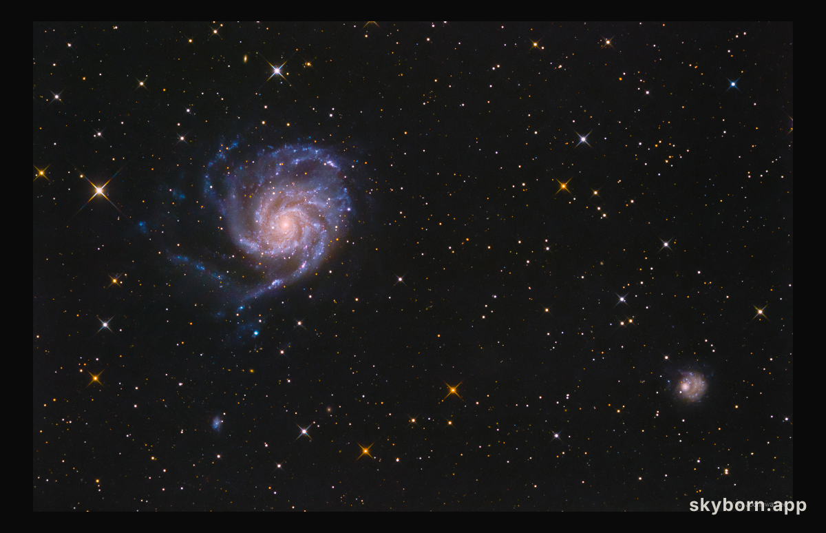 The View Toward M101
