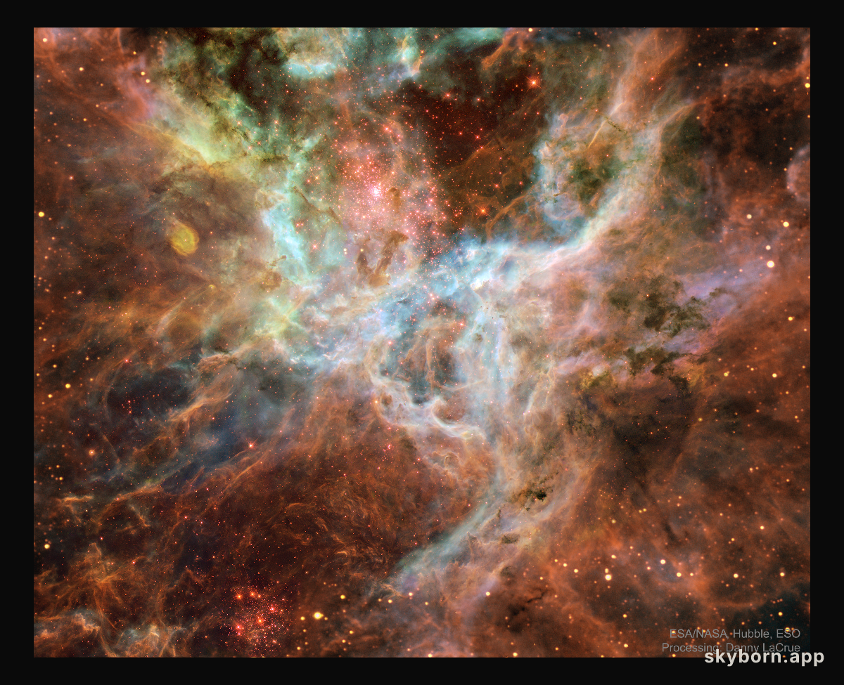 In the Heart of the Tarantula Nebula