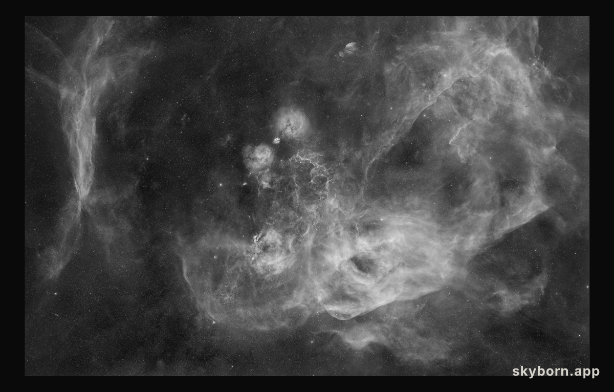 The Gum Nebula Expanse