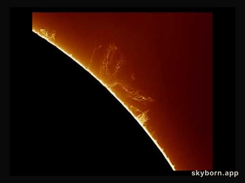 An Active Prominence on the Sun