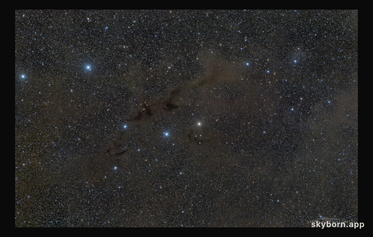 Barnard 228: The Dark Wolf Nebula in Lupus