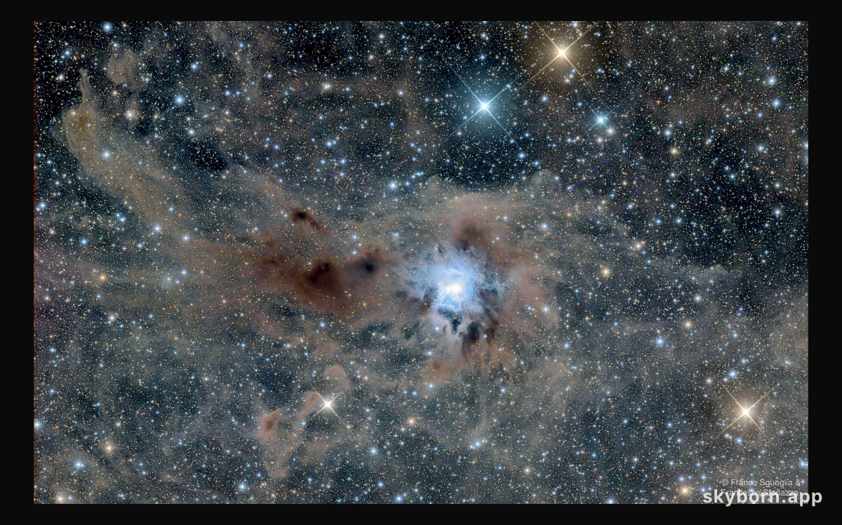 The Iris Nebula in a Field of Dust