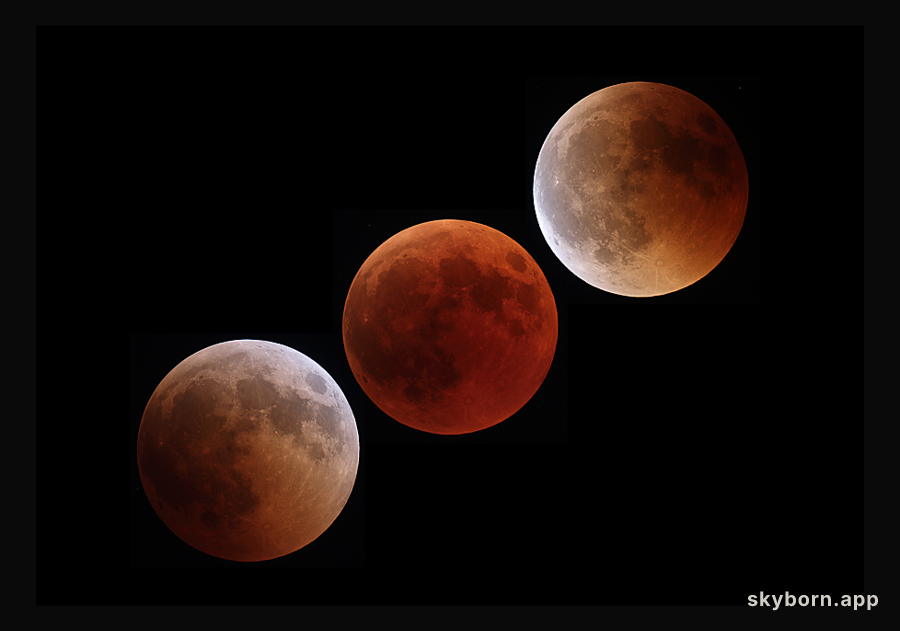 Central Lunar Eclipse