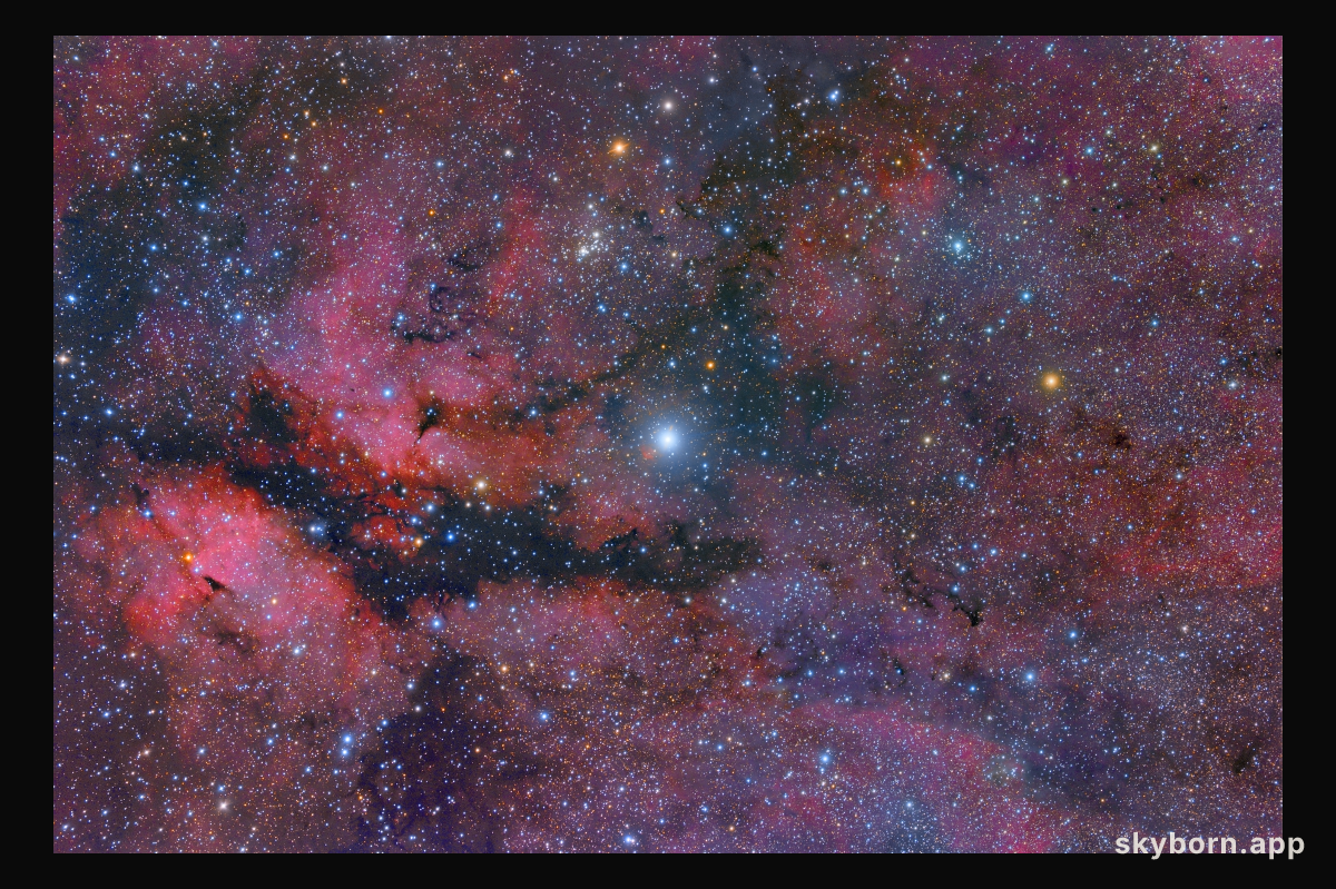 Central Cygnus Skyscape