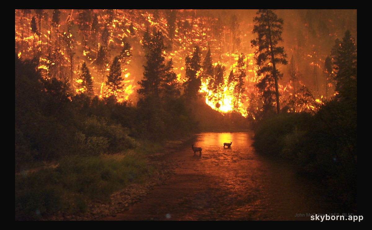 Fire on Earth