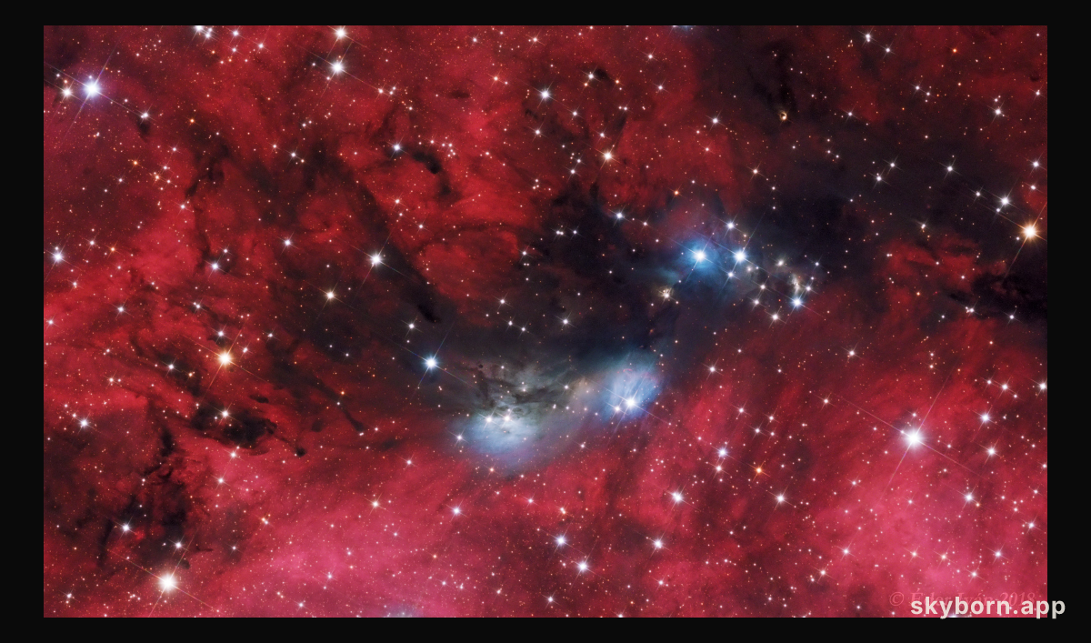 The NGC 6914 Complex