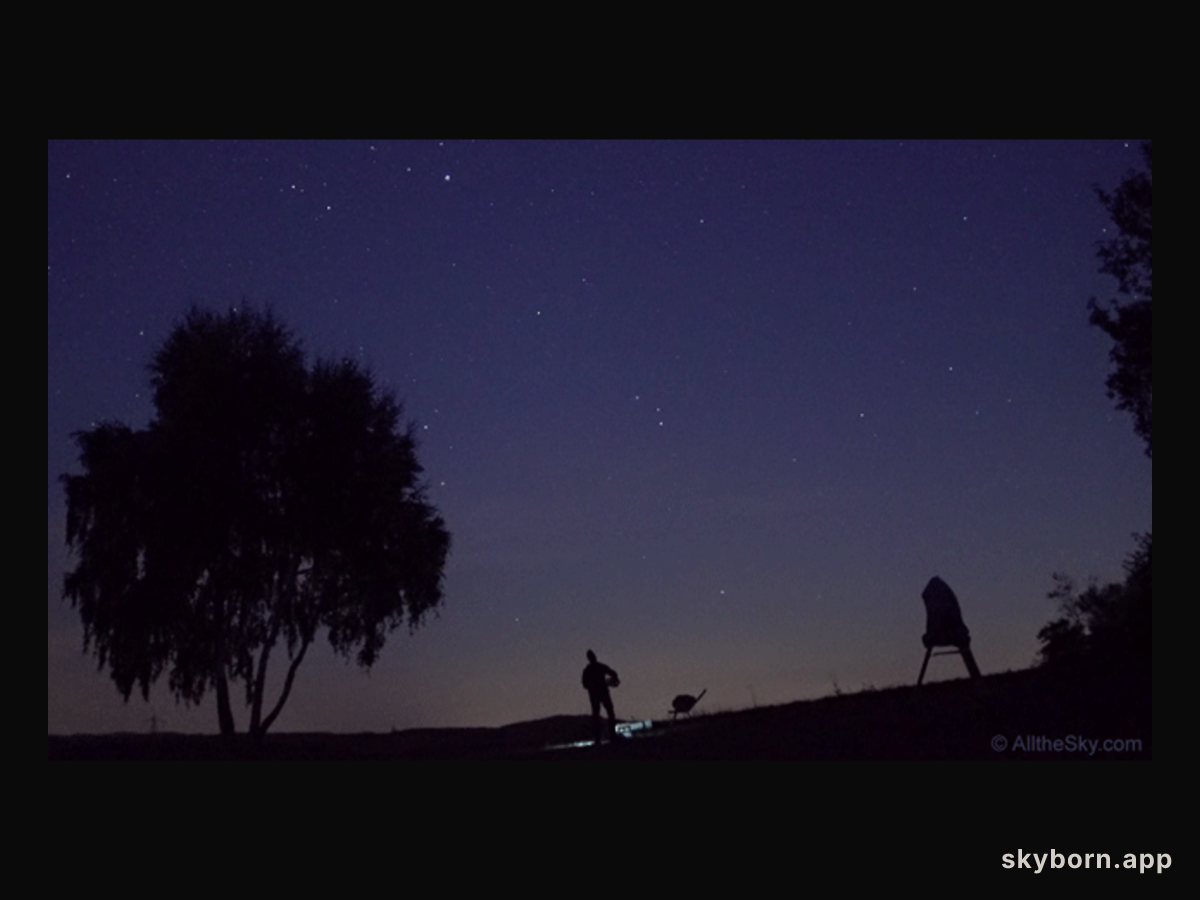 Real Time Perseid