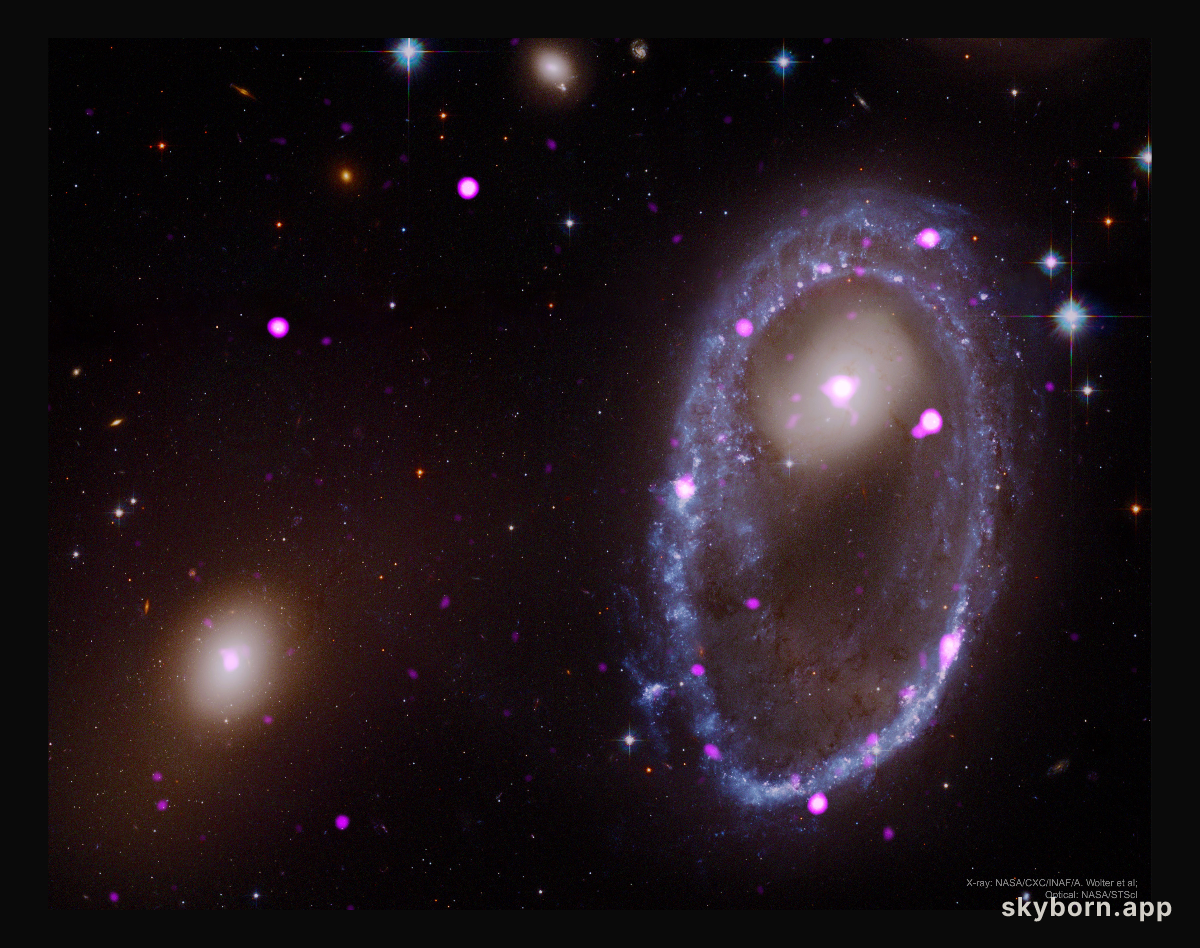 Cosmic Collision Forges Galactic Ring