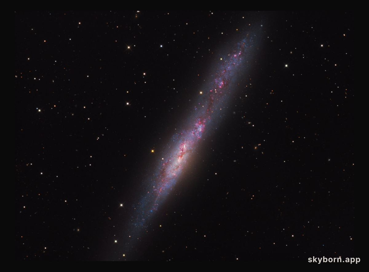 Irregular Galaxy NGC 55
