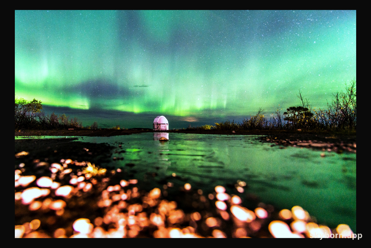 Aurora: The Frog's View