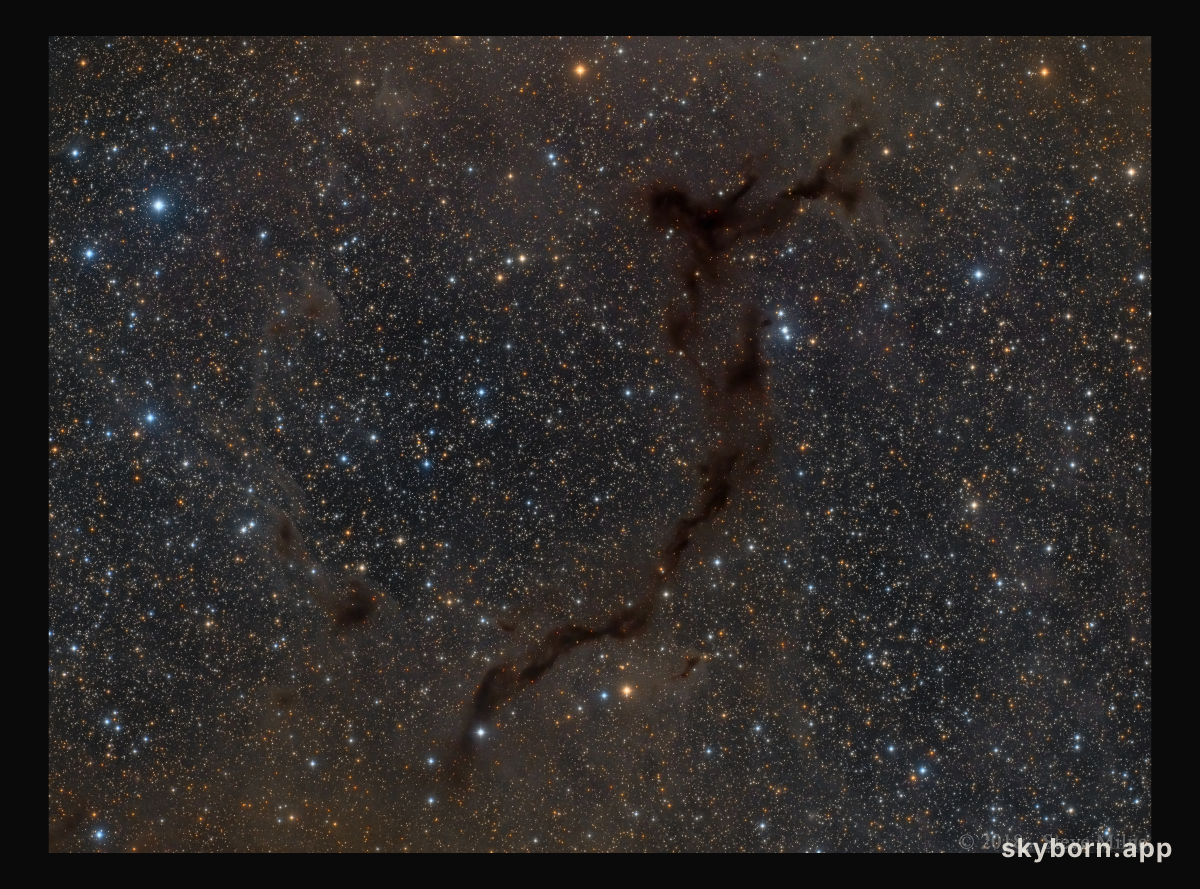 Barnard 150: Seahorse in Cepheus