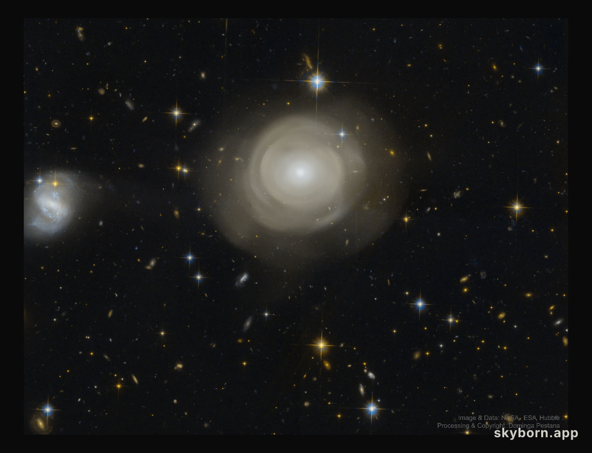 Shells of Stars in Elliptical Galaxy PGC 42871
