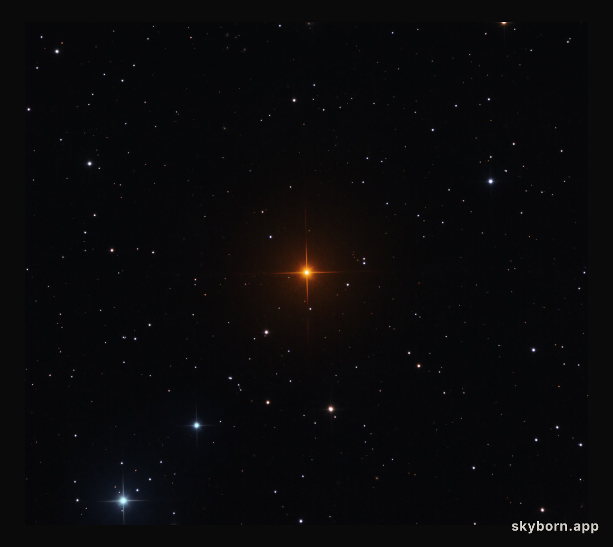 R Leporis: A Vampire's Star