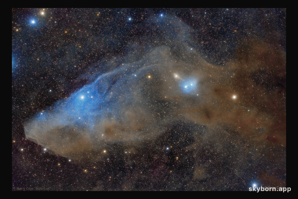 IC 4592: The Blue Horsehead Reflection Nebula
