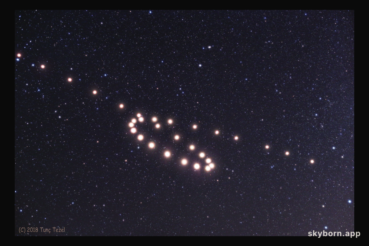Mars in the Loop