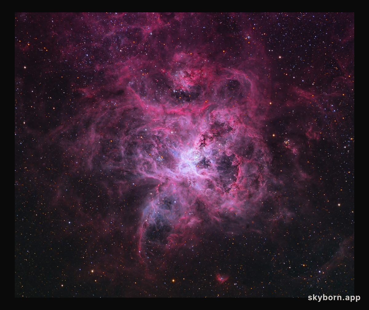 The Tarantula Nebula