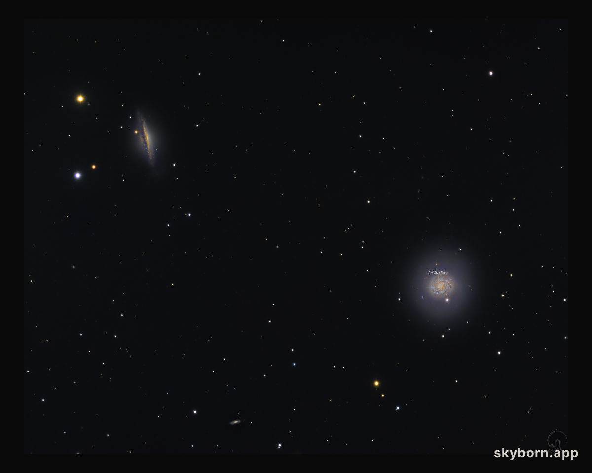 Cetus Galaxies and Supernova
