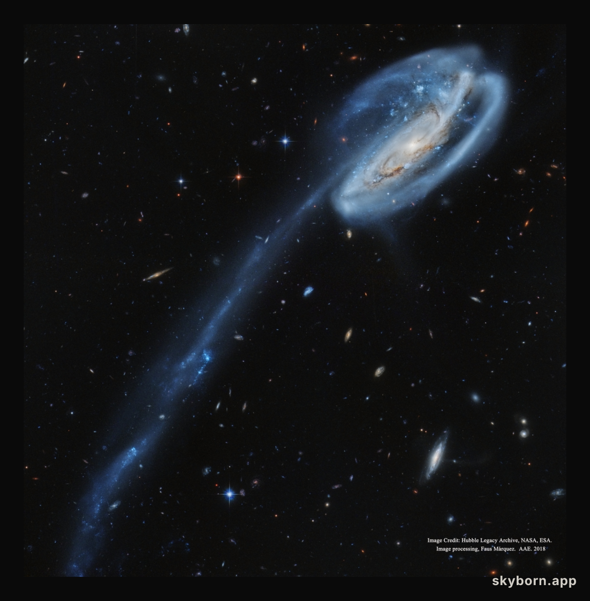 Arp 188 and the Tadpole's Tail