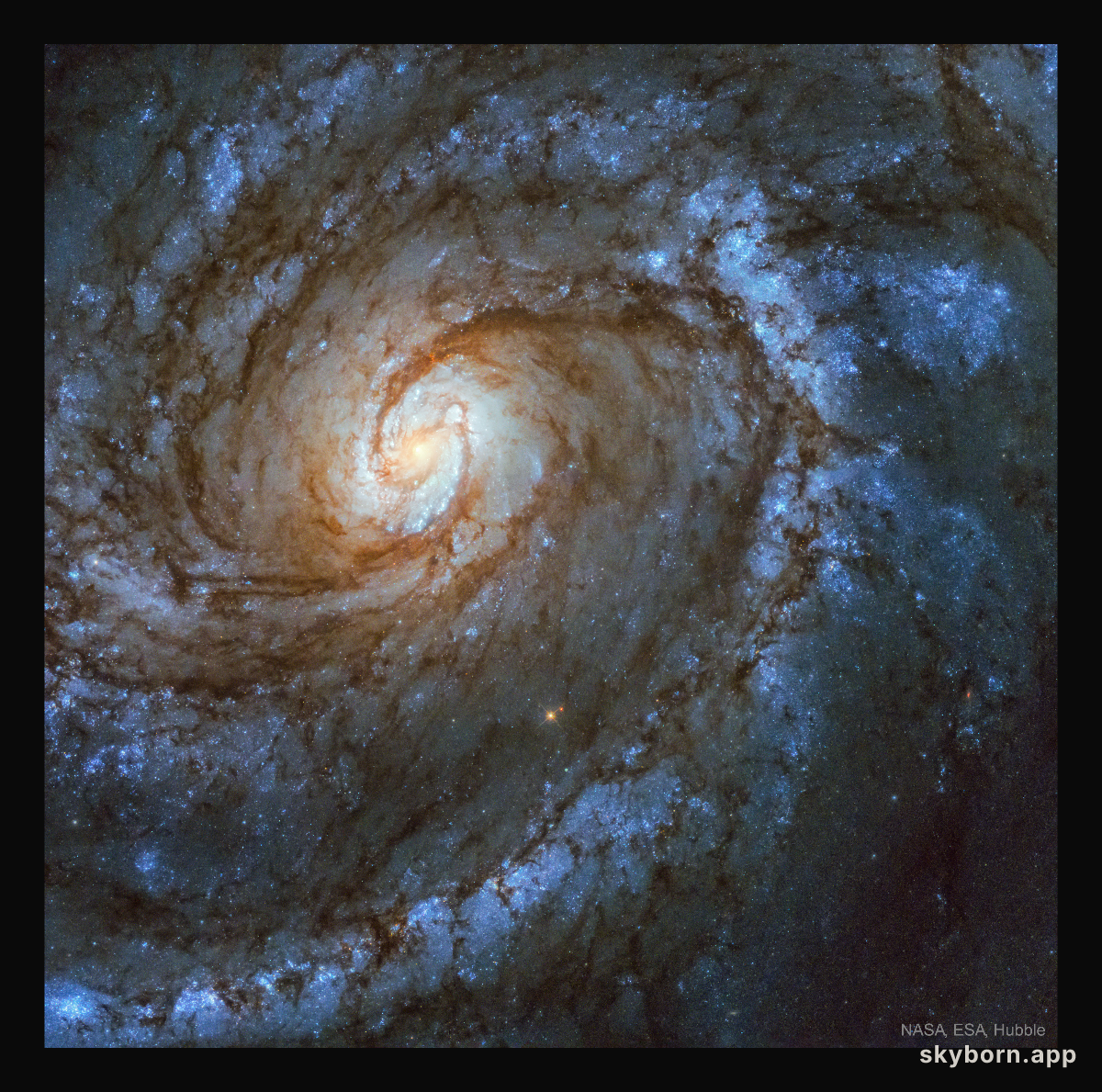 M100: A Grand Design Spiral Galaxy