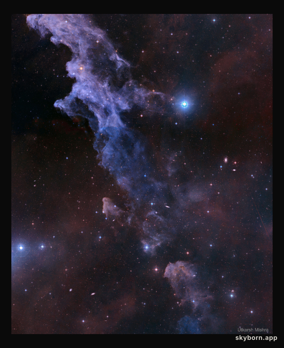 The Witch Head Nebula