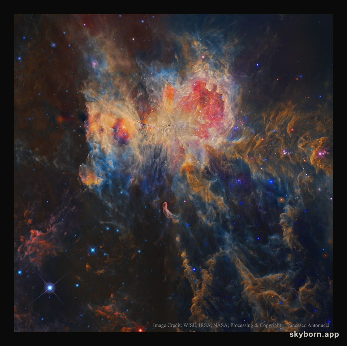 The Orion Nebula in Infrared from WISE