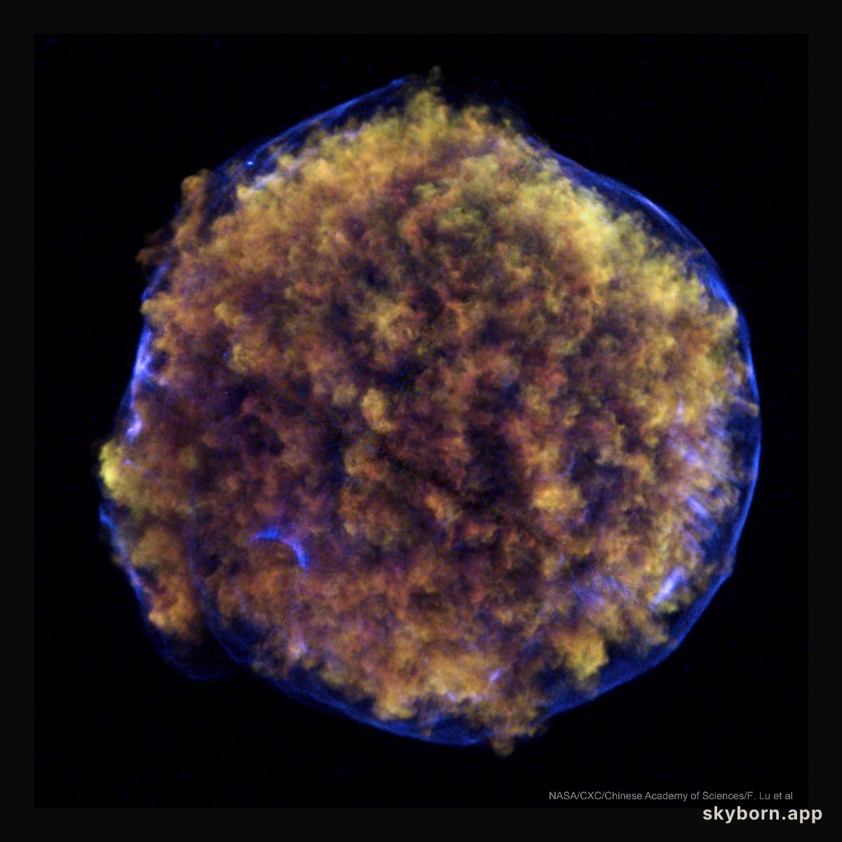 Tycho's Supernova Remnant in X-ray