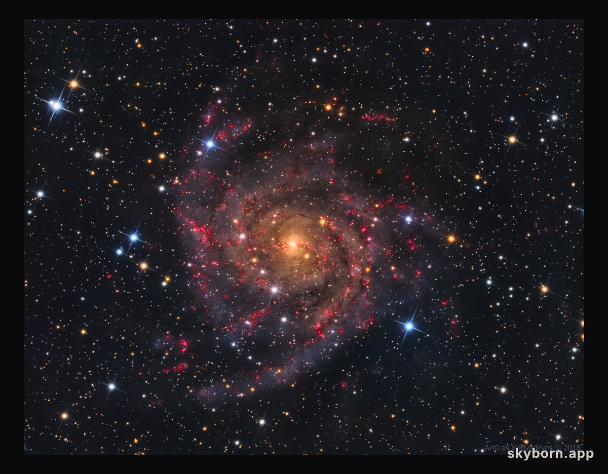 IC 342: The Hidden Galaxy