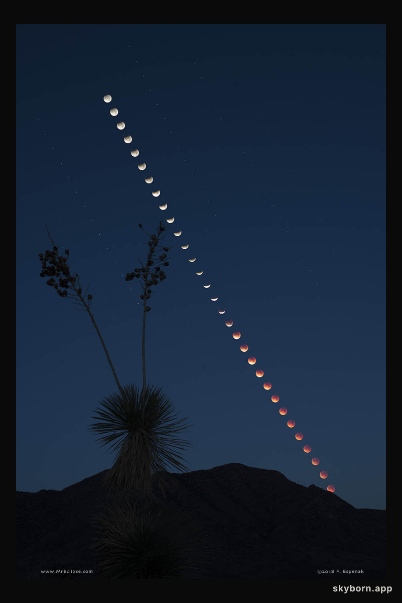 Total Lunar Eclipse at Moonset
