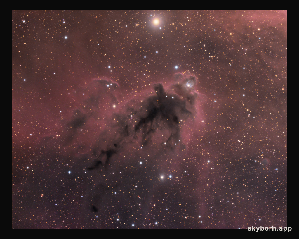 LDN 1622: Dark Nebula in Orion