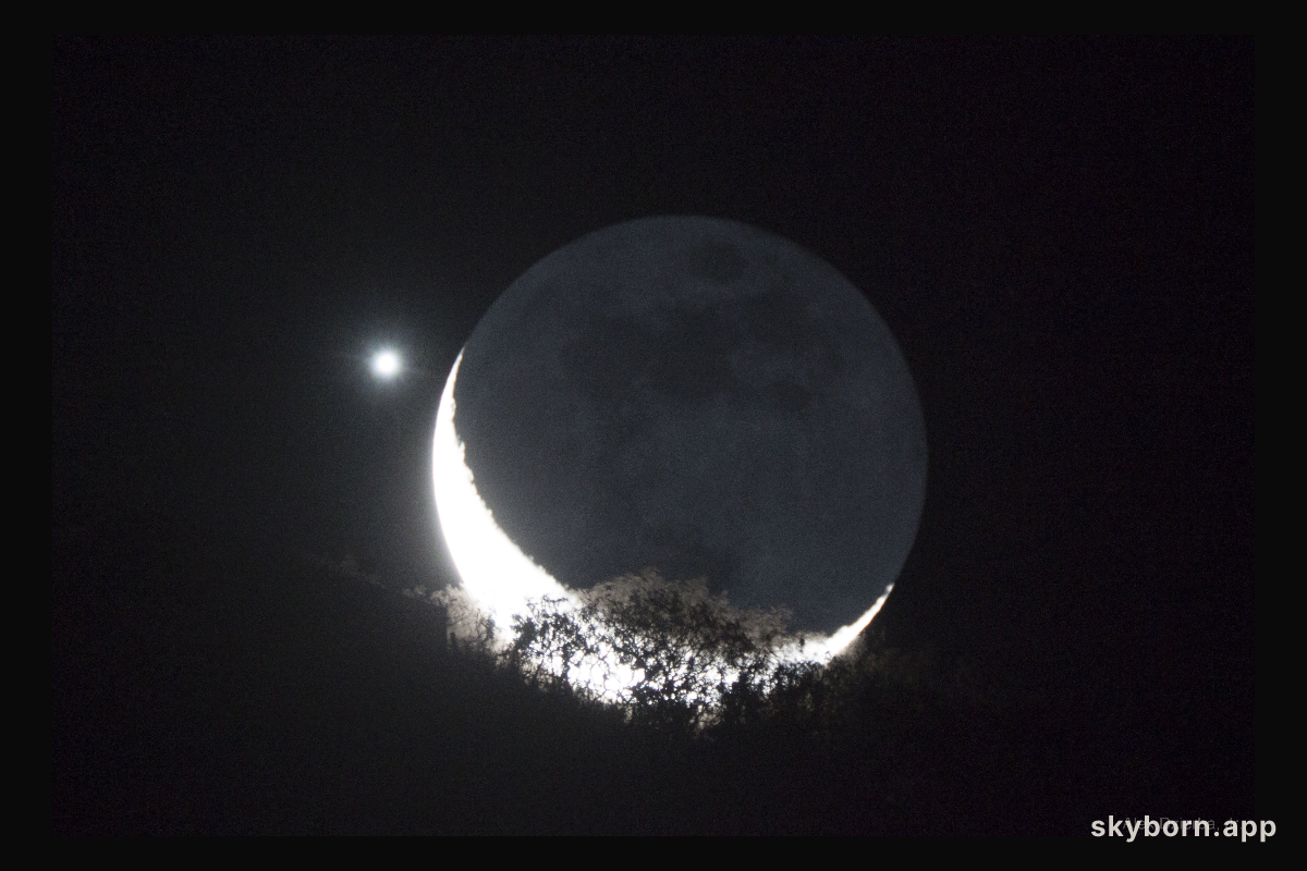 Moon and Venus Appulse over a Tree