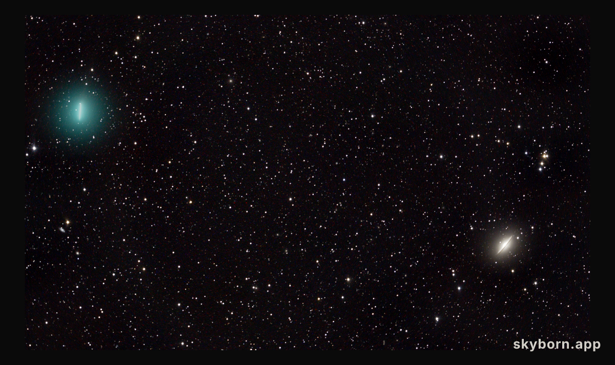 Comet Iwamoto and the Sombrero Galaxy