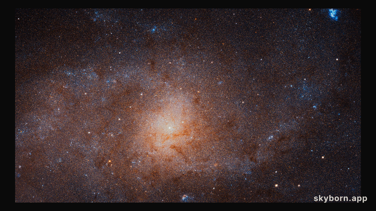 The Stars of the Triangulum Galaxy