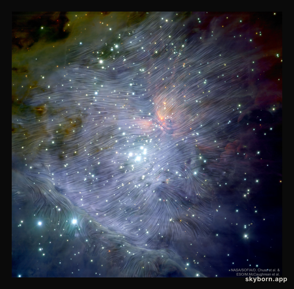 Magnetic Orion