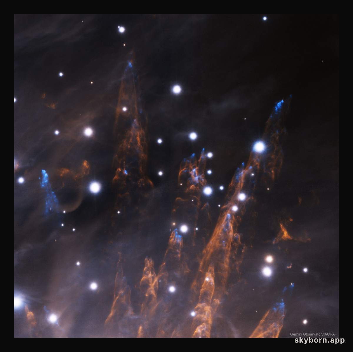 The Orion Bullets