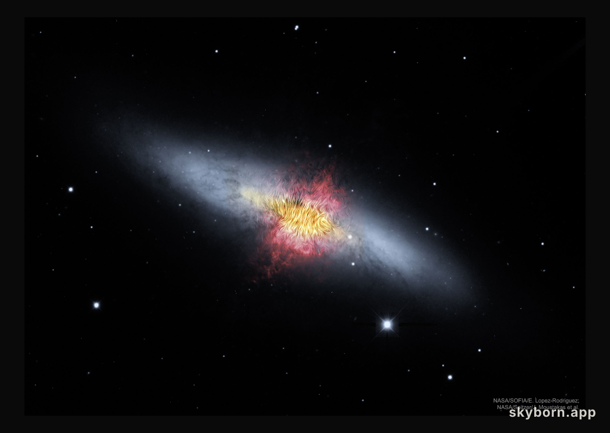 The Central Magnetic Field of the Cigar Galaxy