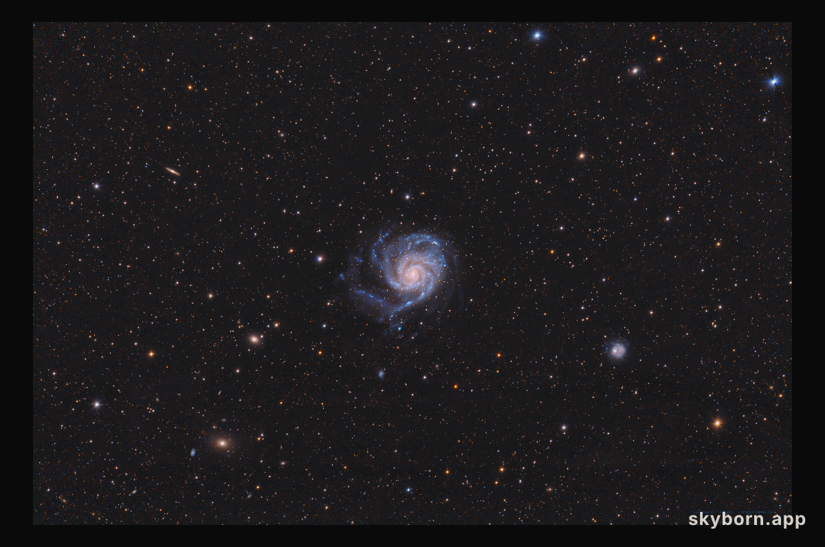 A View Toward M101