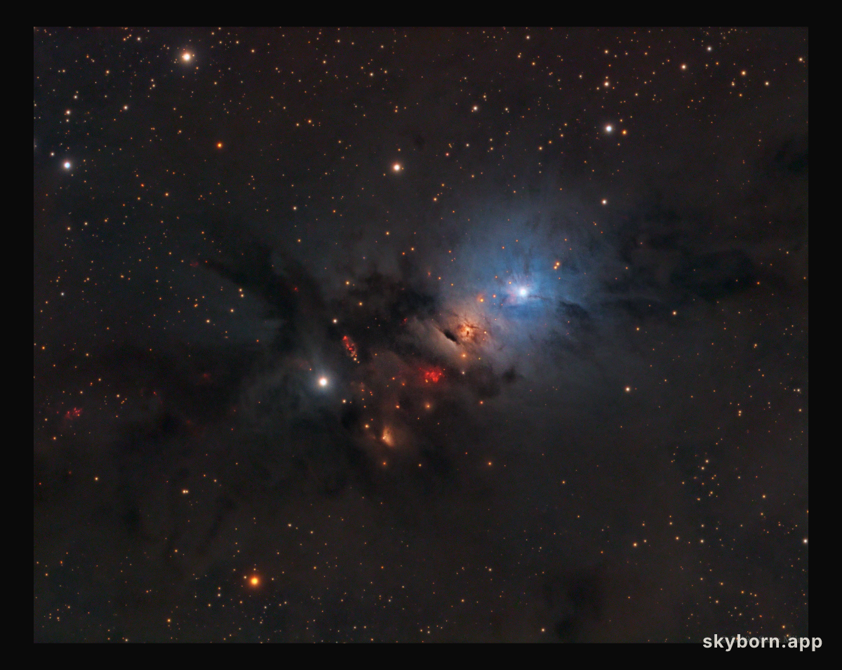 NGC 1333: Stellar Nursery in Perseus