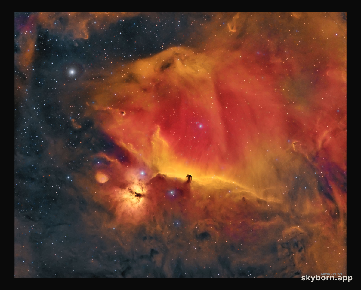Wisps Surrounding the Horsehead Nebula