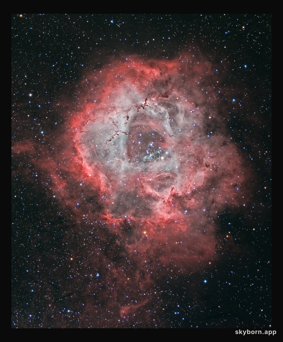 A Cosmic Rose: The Rosette Nebula in Monoceros